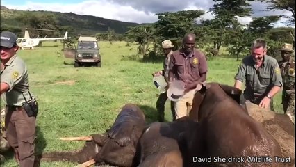 Bread That Hates Mustard