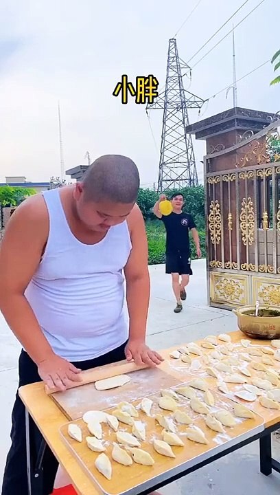 Funny videos