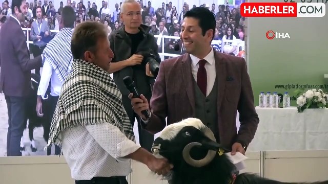 Burdur'da Teke ve Koçların Güzellik Yarışması Renkli Görüntülere Sahne Oldu