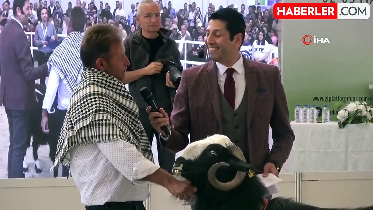 Burdur'da Teke ve Koçların Güzellik Yarışması Renkli Görüntülere Sahne Oldu