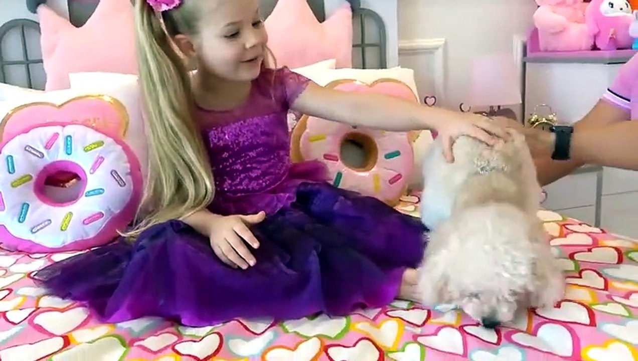 Diana and Animal Stories for Kids
