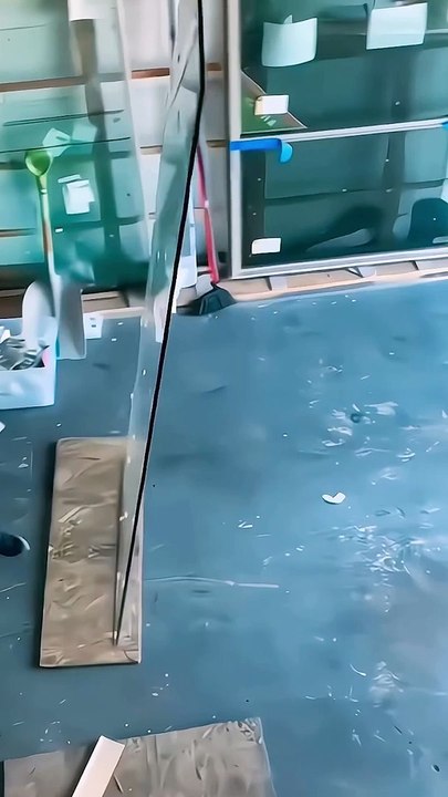 Exploring Canada's Top Educational Institutions | Study Abroad in CANADA | Canada Glimpse