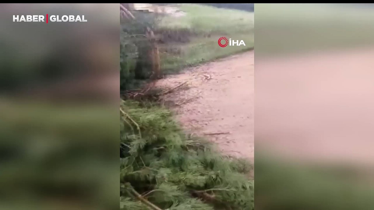 Ağaçları kökünden söken hortum görenleri dehşete düşürdü
