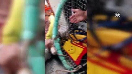 Brezilya'da sel felaketi