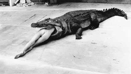 Helmut Newton, l'effronté