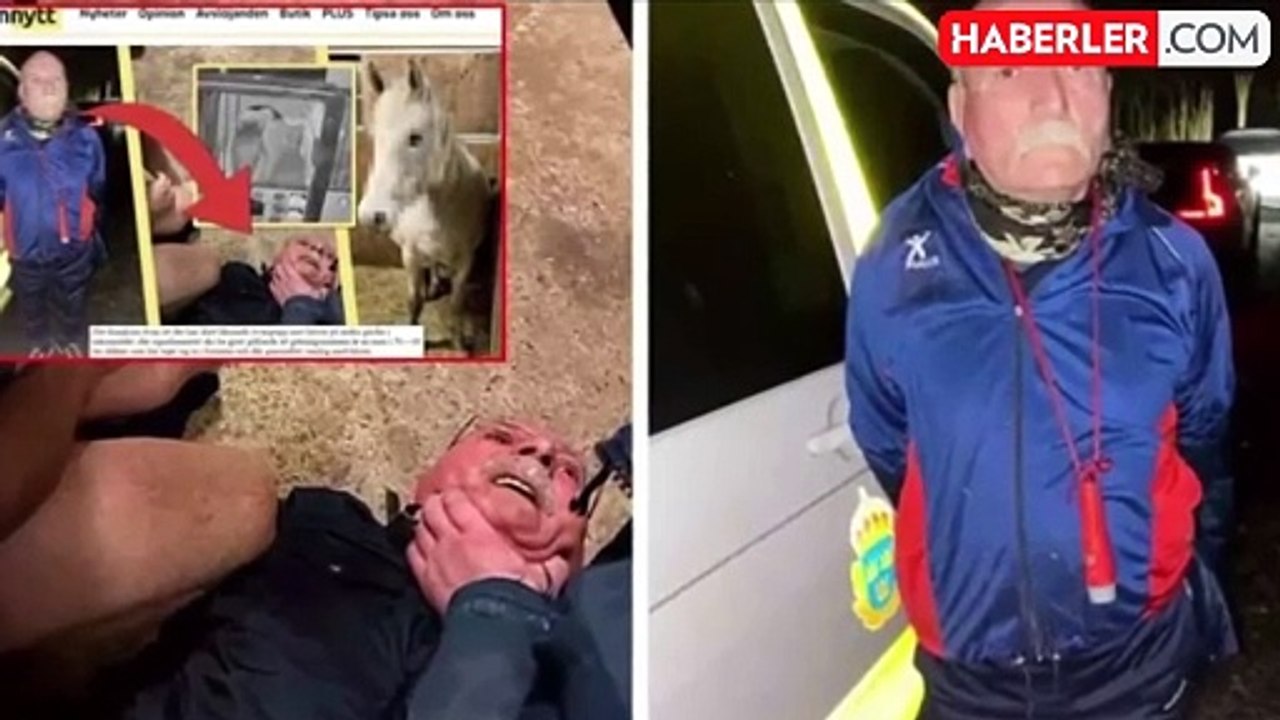 Ata tecavüz eden PKK'lı iğrenç eylem için ahıra defalarca gitmiş! İşte gün yüzüne çıkan detaylar