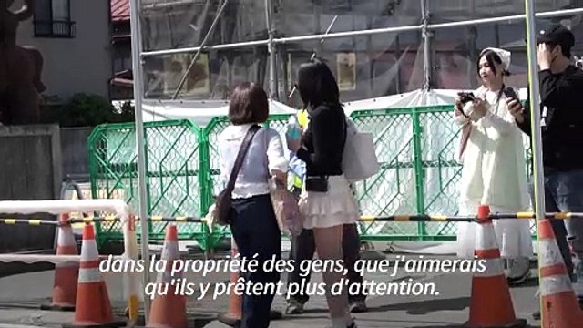 Japon : début de la construction d'un filet pour cacher une vue sur le Mont Fuji