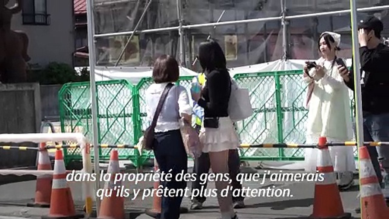 Japon : début de la construction d'un filet pour cacher une vue sur le Mont Fuji