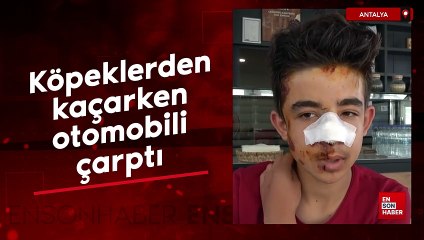 Antalya'da köpeklerden kaçarken otomobilin çarptığı çocuk yaralandı