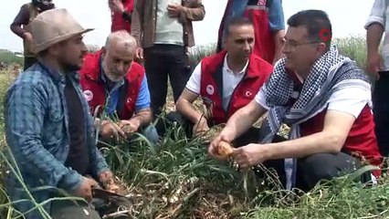 Şanlıurfa'da duyulmamış hasat başladı, çiftçinin yüzü güldü: 1 dönümden 6 ton ürün!