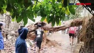 Pohon Beringin Setinggi 15 Meter Tumbang di Bandung, Rusak Rumah dan Warung