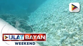 Mga patay na coral, natuklasang itinambak sa Pag-asa Island Cays 1, 2, at 3