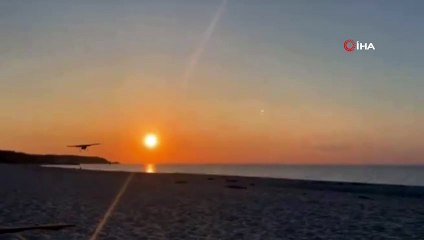 ABD’de uçak plaja çakıldı