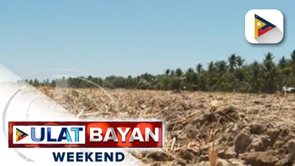 Nasa linya: Asec. Arnel De Mesa, Spokesperson ng Department of Agriculture, tungkol sa kalagayan ng sektor ng agrikultura dahil sa epekto ng #ElNiñoPH