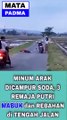 Minum Arak Dicampur Soda, 3 Remaja Putri Mabuk dan Rebahan di Tengah Jalan.