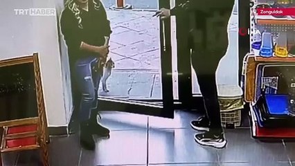 Kulağında tümör olan sokak kedisi, yardım için veterinere gitti