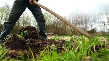 "La clé de la richesse, c'est la terre" dit un paysan-artiste installé en Bretagne