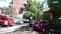 Maltempo: cade un albero a Roma, danneggiati 3 balconi