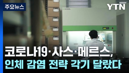 코로나19·사스·메르스, 인체 감염 전략 각기 달랐다 / YTN