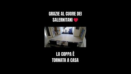 Il ladro restituisce la coppa Tim lasciandola davanti al negozio