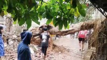 Pohon Beringin Raksasa Tumbang Timpa Rumah Warga dan Warung di Bandung