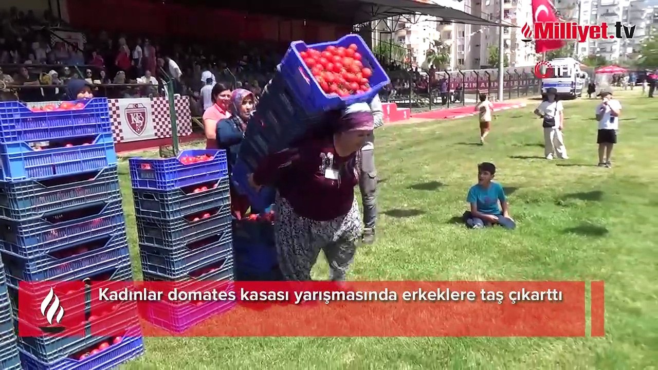 Antalya'da renkli görüntüler! Domates yiyip kasa taşıdılar