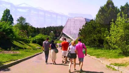 Sembrando Esperanza - Complot para matar a Jesus - 04.05.2024