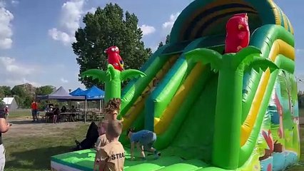 Majówka z Majką w Dolsku