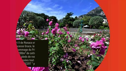 PHOTOS Albert de Monaco et Caroline de Hanovre, duo frère-soeur stylé pour un hommage à leur mère sous le soleil du Rocher