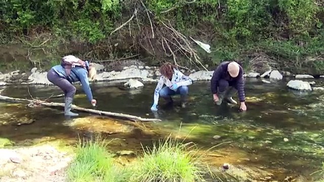 Dans un berceau de la chimie du sud de la France, les polluants éternels inquiètent