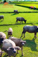 The hidden beauty of Vietnam