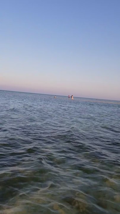 Sea line