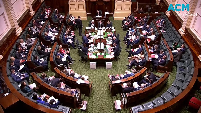 Victorian Treasurer Tim Pallas introduces the 2024 Victorian State Budget to parliament.