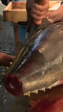 Un thon vendu 1 million d'euro aux enchères