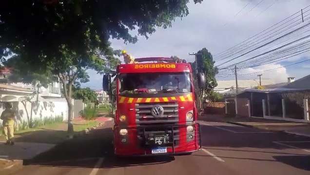 Corpo de Bombeiros é mobilizado para realizar poda de árvore na Rua Manoel Ribas