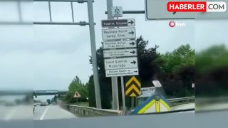 Kocaeli D130 Karayolu'nda Çırılçıplak Şahıs Görüntülendi