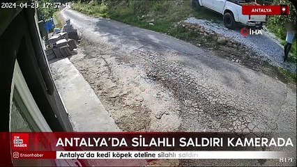 Antalya’da kedi köpek oteline silahlı saldırı kamerada