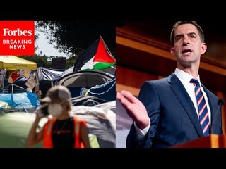 'They Don't Have A Right To Build Little Gazas': Tom Cotton Slams Pro-Palestinian Encampments