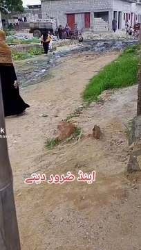 C4C5F912-2756-449E-BF8D-D4A33F5F8DC1