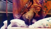 दुनिया से मैं हारा | Guru Bhajan | Bhakti Song | Maharaj ji | #viralvideo #premrawat #trending