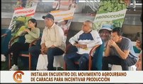 Caracas I Más de 120 voceros comunales instalan Encuentro del Movimiento Agrourbano para producción