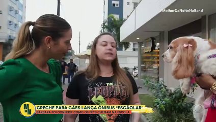 Ônibus escolar para cães que vão para creche viraliza nas redes sociais; assista