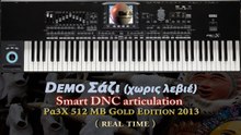 Korg Pa4X-Pa3X Demo Σάζι