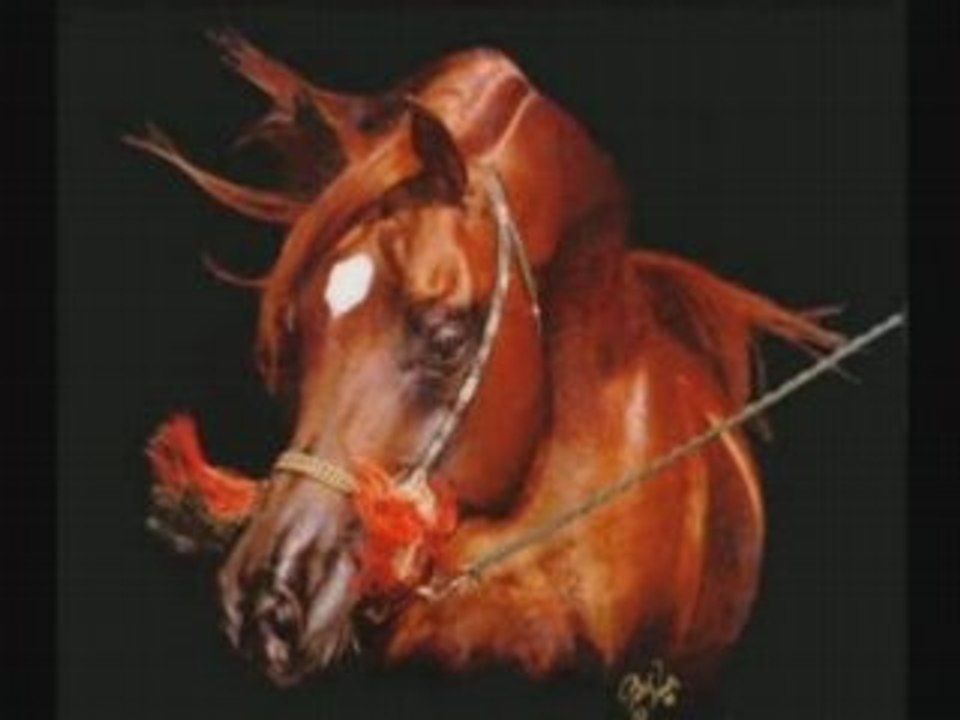 Les chevaux