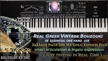 Korg Pa4X-Pa3X Real Bouzouki DNC Platinum Editions