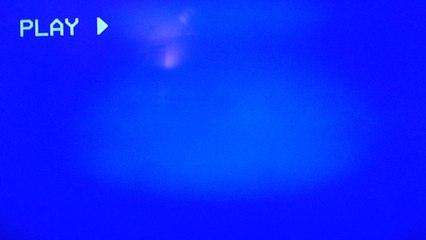 VHS Opening: Sammy The Way Out Seal
