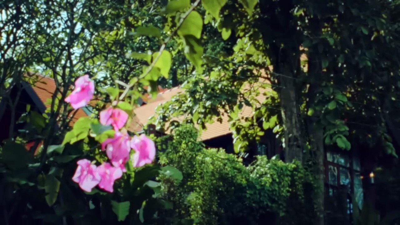 Roma, Napoli, Venezia... in un crescendo rossiniano | show | 2014 | Official Teaser