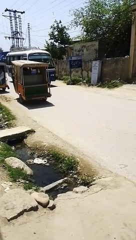 Bus video