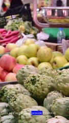 The Truth About Carbs and Weight Loss