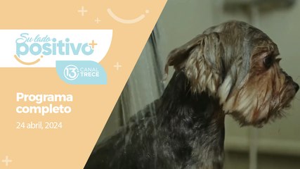 Su Lado Positivo - Programa Completo | 24 abril 2024.